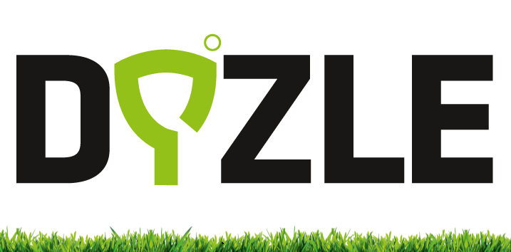 2022 Logo DYZLE Single Gras